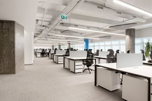 技術(shù)服務(wù)商務(wù)辦公室設(shè)計 融合專業(yè)與商務(wù)的服務(wù)空間營造